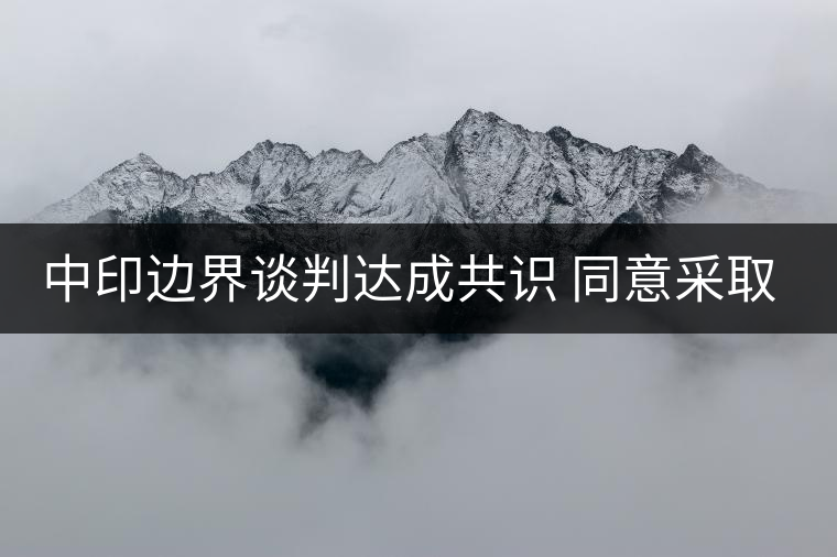 中印邊界談判達(dá)成共識 同意采取措施避免沖突 中印邊界談判達(dá)成共識 同意采取措施避免沖突