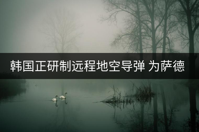 韓國正研制遠(yuǎn)程地空導(dǎo)彈 為薩德系統(tǒng)作補充 韓國正研制遠(yuǎn)程地空導(dǎo)彈 為薩德系統(tǒng)作補充