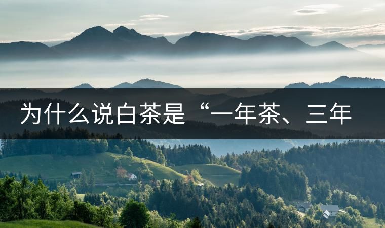 為什么說白茶是“一年茶、三年藥、七年寶”?為什么說白茶是“一年茶、三年藥、七年寶”？