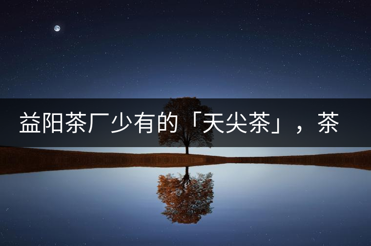 益陽茶廠少有的「天尖茶」，茶品升級(jí)，收藏趁早！