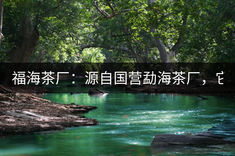 福海茶廠：源自國營勐海茶廠，它是99易武綠星星之母
