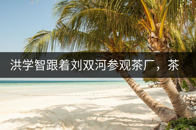 洪學(xué)智跟著劉雙河參觀茶廠，茶廠黃老板對賣苦力的百姓百般欺凌