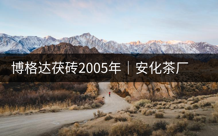 博格達(dá)茯磚2005年｜安化茶廠定制款，金花滿披，梅山韻濃！