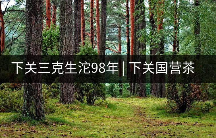 下關(guān)三克生沱98年 | 下關(guān)國營茶廠出口料，干倉儲存，...下關(guān)三克生沱98年 | 下關(guān)國營茶廠出口料，干倉儲存，19年老茶！