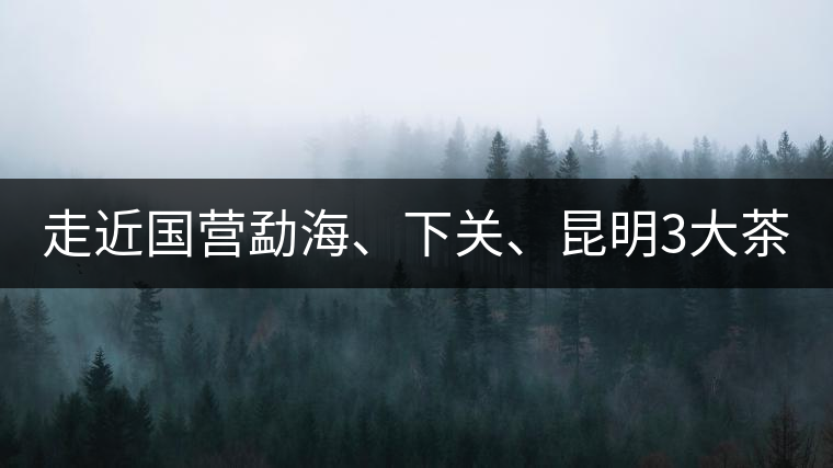 走近國營勐海、下關(guān)、昆明3大茶廠，傳世代表作的發(fā)展詳...走近國營勐海、下關(guān)、昆明3大茶廠，傳世代表作的發(fā)展詳解