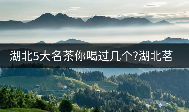 湖北5大名茶你喝過幾個?湖北茗茶的歷史故事?湖北茶哪...湖北5大名茶你喝過幾個？湖北茗茶的歷史故事？湖北茶哪個產地好