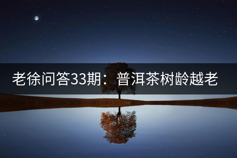 老徐問答33期：普洱茶樹齡越老越貴，那100年樹齡的老班章呢？