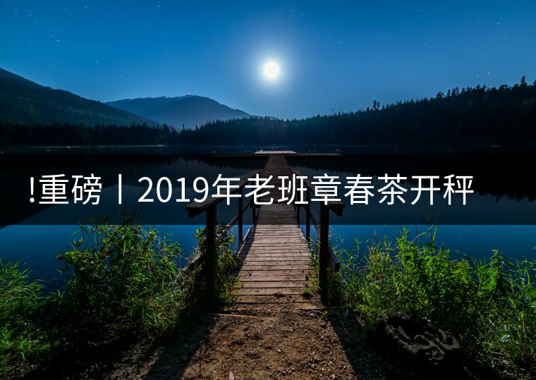 !重磅丨2019年老班章春茶開秤，一筆定價？如此出人意料！