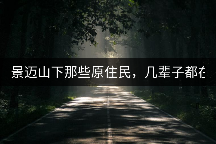 景邁山下那些原住民，幾輩子都在采茶、制茶，才有最...景邁山下那些原住民，幾輩子都在采茶、制茶，才有最好喝的普洱