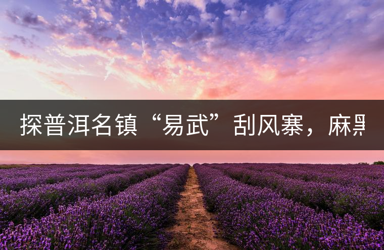 探普洱名鎮(zhèn)“易武”刮風(fēng)寨，麻黑，落水洞!小編親自下...探普洱名鎮(zhèn)“易武”刮風(fēng)寨，麻黑，落水洞！小編親自下手“殺青”