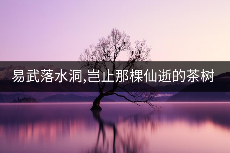 易武落水洞,豈止那棵仙逝的茶樹王?易武落水洞,豈止那棵仙逝的茶樹王？
