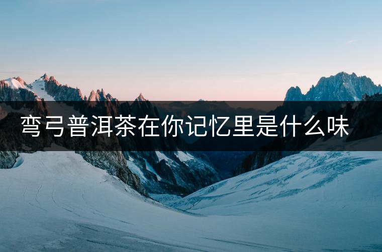 彎弓普洱茶在你記憶里是什么味道？