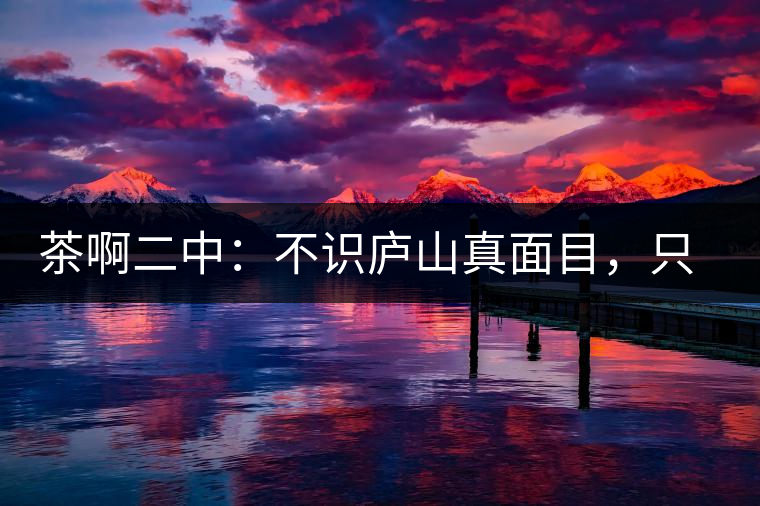 茶啊二中：不識(shí)廬山真面目，只識(shí)彎弓射大雕，賈淳真搞笑