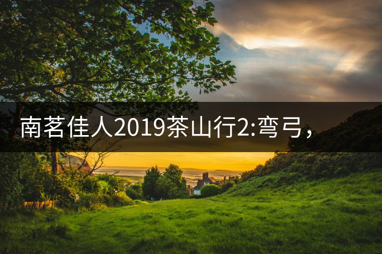 南茗佳人2019茶山行2:彎弓，一路艱辛，只為這有生命...南茗佳人2019茶山行2：彎弓，一路艱辛，只為這有生命厚度的茶！