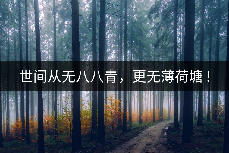 世間從無八八青，更無薄荷塘 !