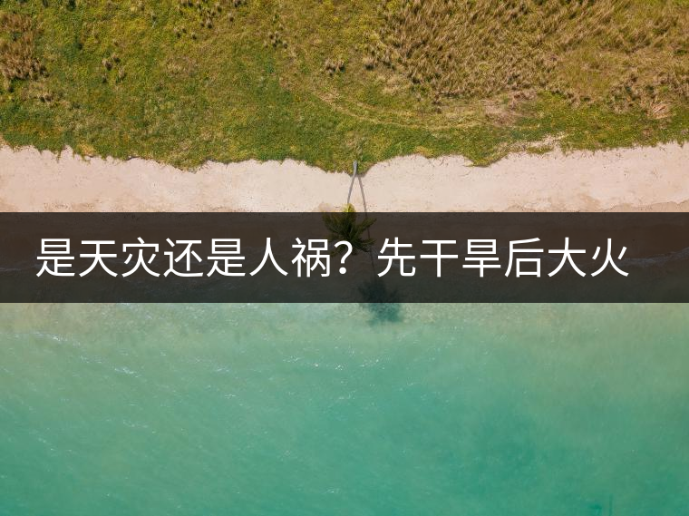 是天災(zāi)還是人禍？先干旱后大火，普洱茶將何去何從？