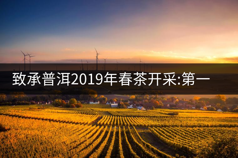 致承普洱2019年春茶開(kāi)采:第一站易武天門(mén)山致承普洱2019年春茶開(kāi)采:第一站易武天門(mén)山 致承普洱2019年春茶開(kāi)采:第一站易武天門(mén)山致承普洱2019年春茶開(kāi)采:第一站易武天門(mén)山