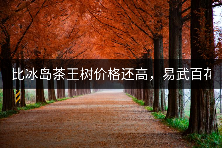 比冰島茶王樹價(jià)格還高，易武百花潭高桿古樹茶以100萬成...比冰島茶王樹價(jià)格還高，易武百花潭高桿古樹茶以100萬成交