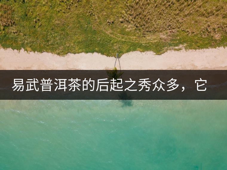 易武普洱茶的后起之秀眾多，它是還沒漲價的一個！