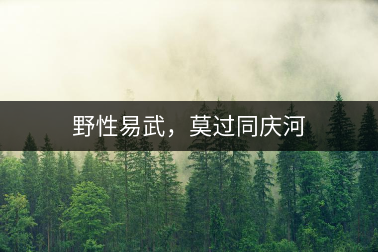 野性易武，莫過同慶河