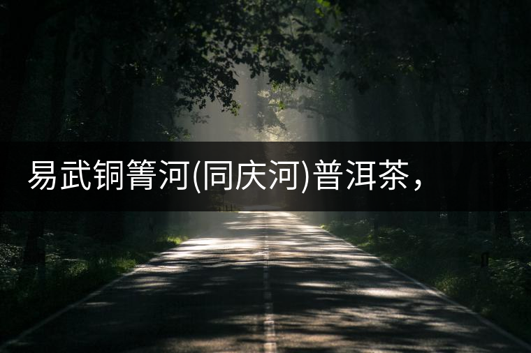 易武銅箐河(同慶河)普洱茶，讓我拜倒的不止它的口感易武銅箐河（同慶河）普洱茶，讓我拜倒的不止它的口感