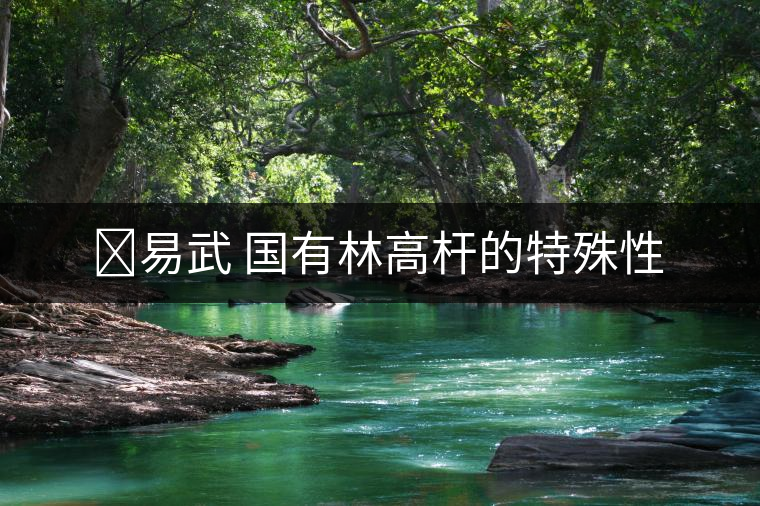 ?易武 國有林高桿的特殊性