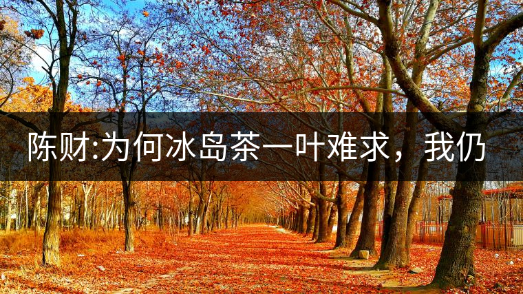 陳財:為何冰島茶一葉難求，我仍然堅持