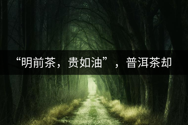“明前茶，貴如油”，普洱茶卻不這么認為“明前茶，貴如油”，普洱茶卻不這么認為