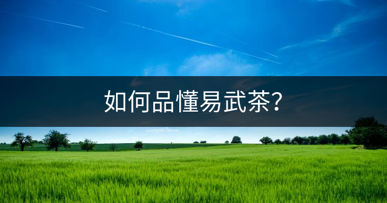 如何品懂易武茶？