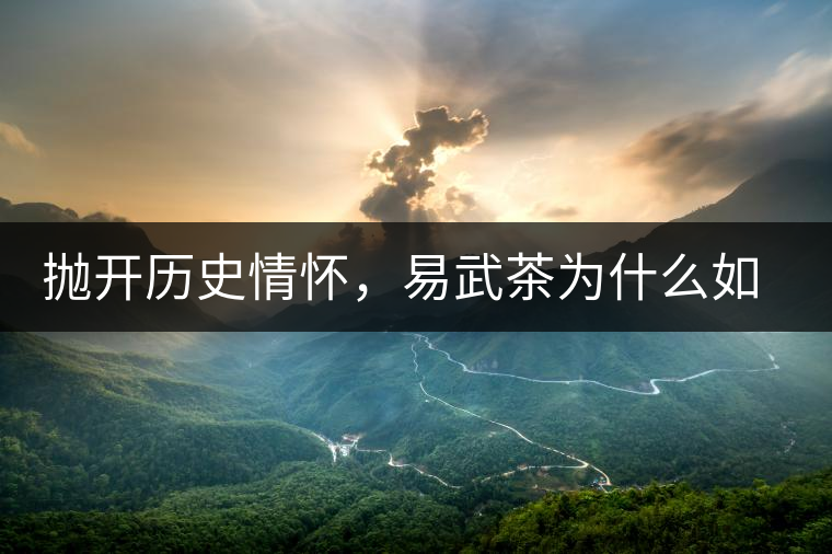 拋開歷史情懷，易武茶為什么如此受歡迎？
