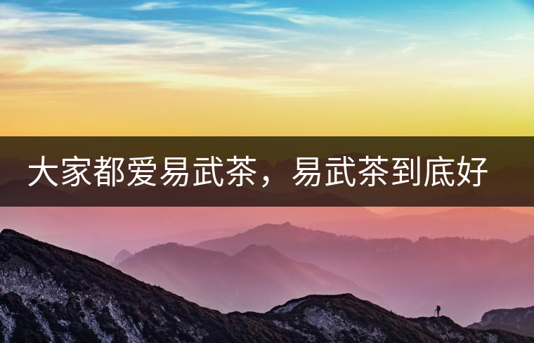 大家都愛易武茶，易武茶到底好在哪兒?大家都愛易武茶，易武茶到底好在哪兒？