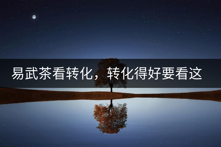 易武茶看轉(zhuǎn)化，轉(zhuǎn)化得好要看這三要素及品牌優(yōu)勢(shì)！