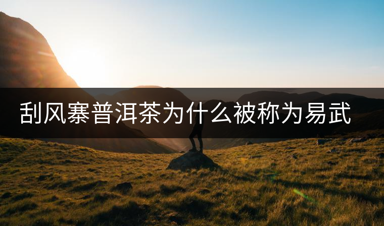 刮風(fēng)寨普洱茶為什么被稱為易武茶王？