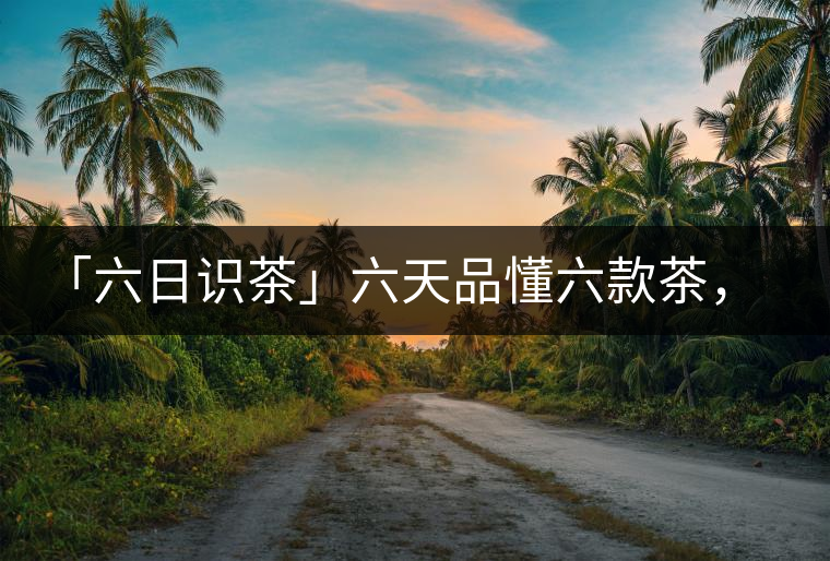 「六日識(shí)茶」六天品懂六款茶，從此愛(ài)上山頭茶