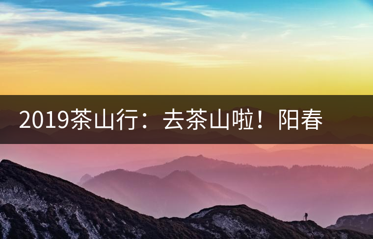 2019茶山行：去茶山啦！陽春三月，和南茗佳人一起上山喝好茶！
