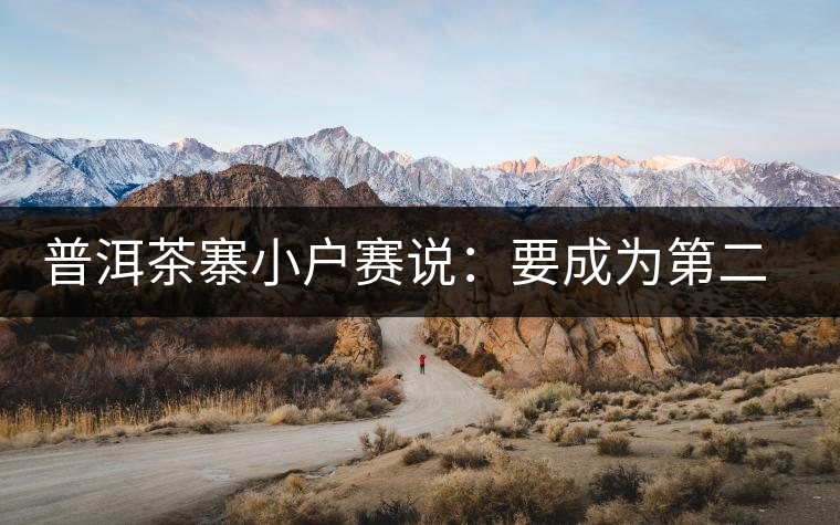 普洱茶寨小戶賽說：要成為第二個(gè)冰島，勐庫(kù)普洱茶圈都爆了！