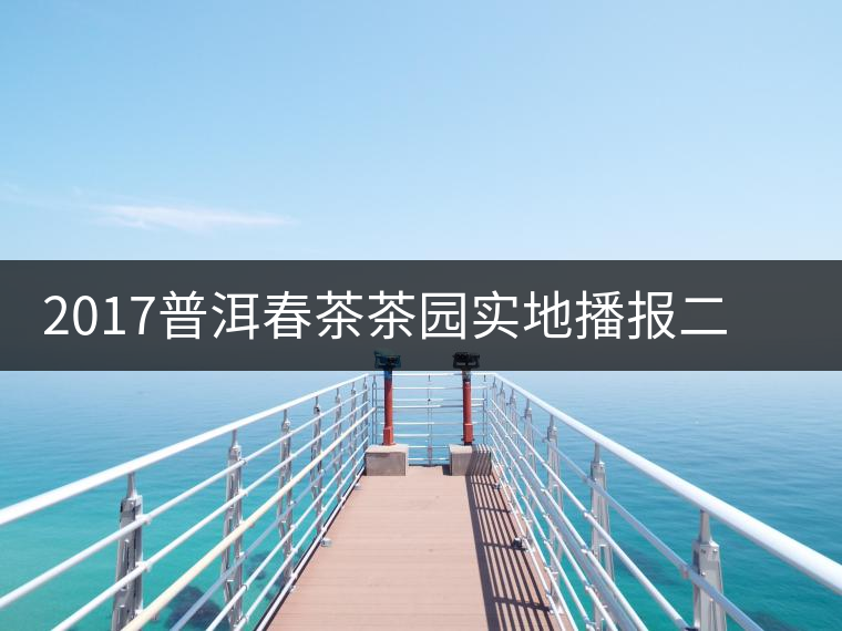 2017普洱春茶茶園實地播報二——臨倉勐庫鎮(zhèn)小戶賽 2017普洱春茶茶園實地播報二——臨倉勐庫鎮(zhèn)小戶賽