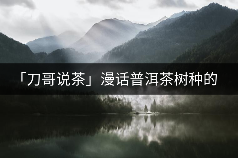 「刀哥說(shuō)茶」漫話普洱茶樹種的分類