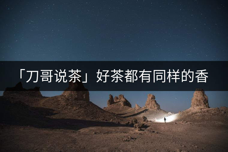 「刀哥說茶」好茶都有同樣的香，破茶卻有不同的味