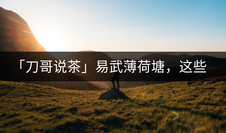 「刀哥說(shuō)茶」易武薄荷塘，這些冷知識(shí)你該知道