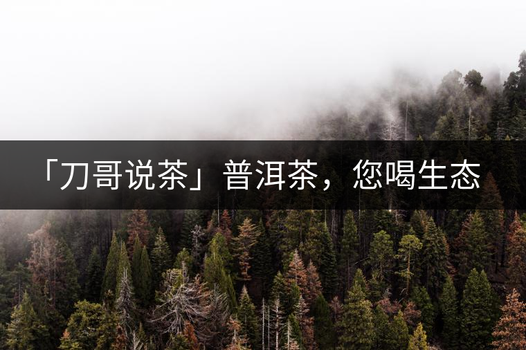 「刀哥說(shuō)茶」普洱茶，您喝生態(tài)還是喝樹齡？
