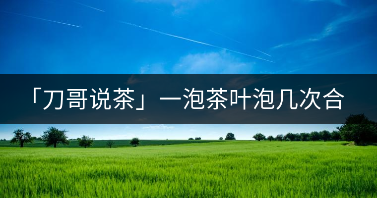 「刀哥說茶」一泡茶葉泡幾次合適?「刀哥說茶」一泡茶葉泡幾次合適？