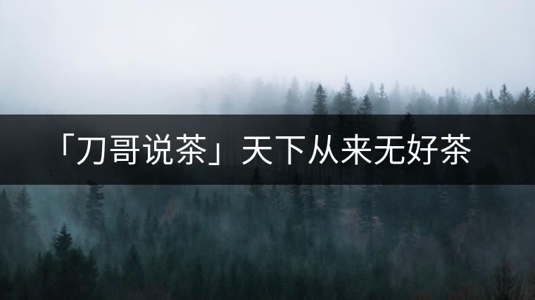 「刀哥說茶」天下從來無好茶 「刀哥說茶」天下從來無好茶