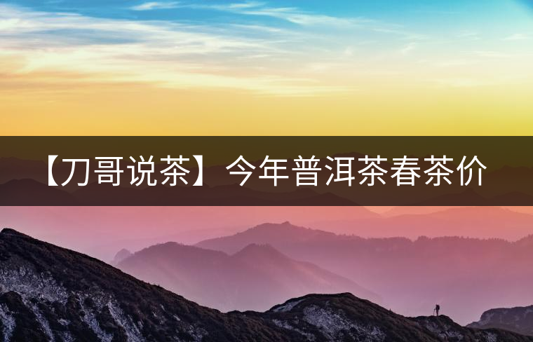 【刀哥說茶】今年普洱茶春茶價格，我不預測