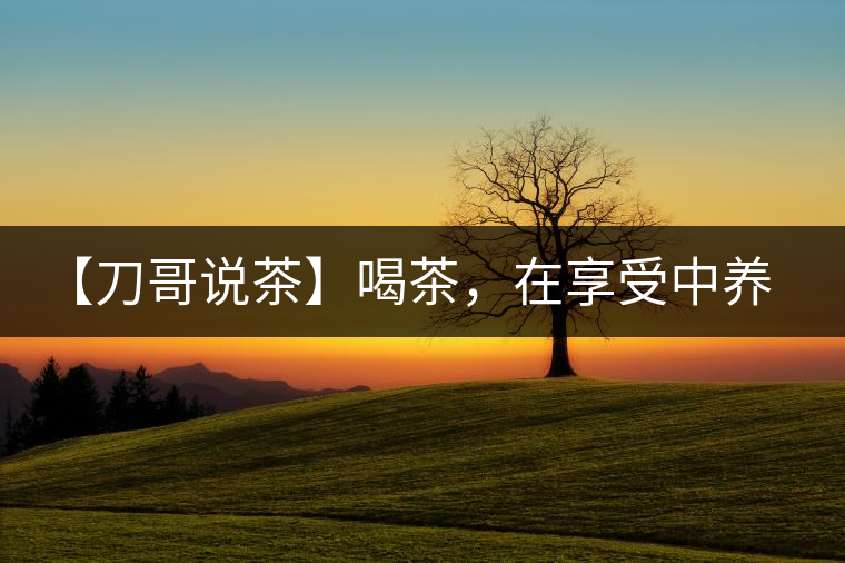 【刀哥說茶】喝茶，在享受中養(yǎng)生的最佳選擇