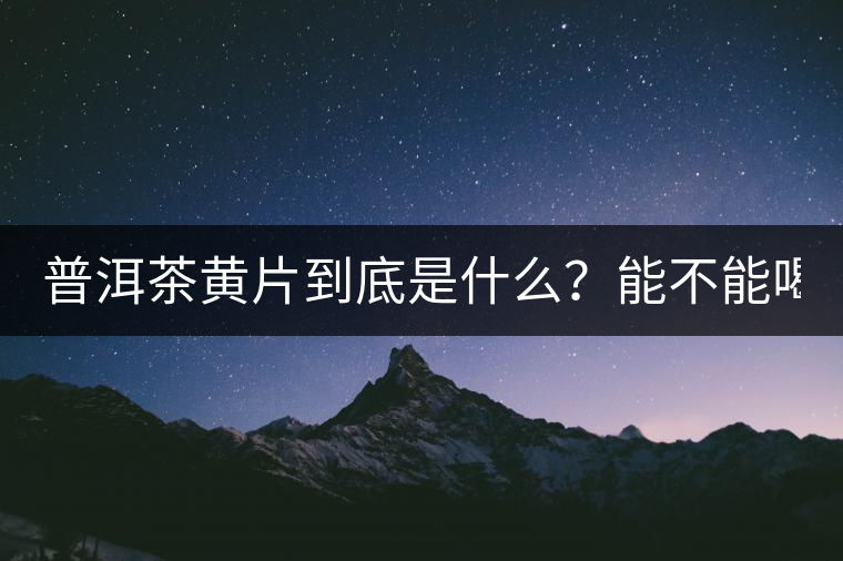普洱茶黃片到底是什么？能不能喝？
