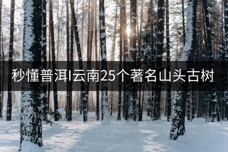 秒懂普洱I云南25個(gè)著名山頭古樹(shù)普洱茶的特點(diǎn)及口感!(太全了,快收藏!)