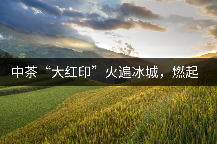 中茶“大紅印”火遍冰城，燃起普洱茶新味蕾