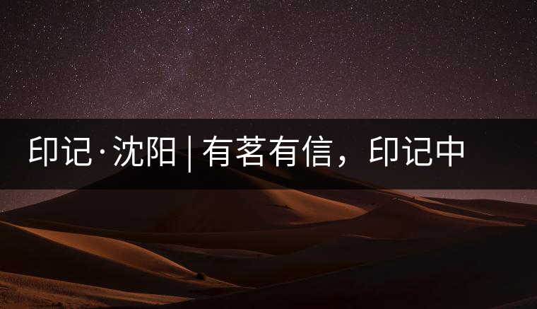 印記·沈陽 | 有茗有信，印記中茶，中茶普洱亮相沈陽茶博會