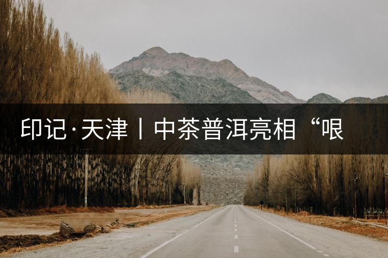 印記·天津丨中茶普洱亮相“哏都”茶博會